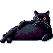 016