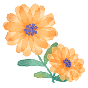 030
