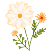 034