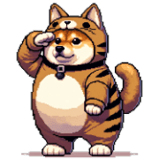 020