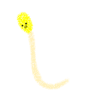 017