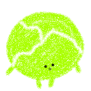 019