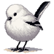010