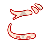 060