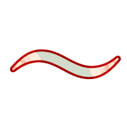 224