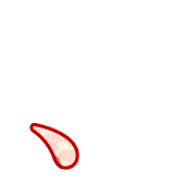 256