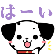 003