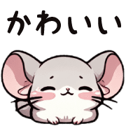 005
