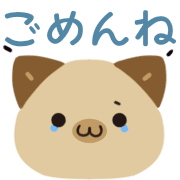010