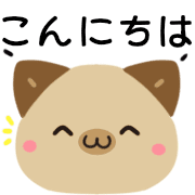 019
