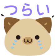 027