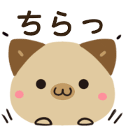 037