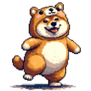 003