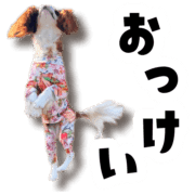 019