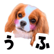 026