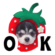 002