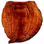 013
