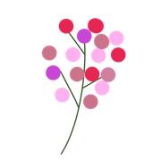005