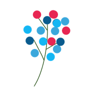 010