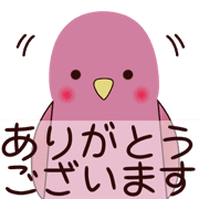 029