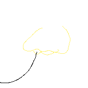 028