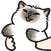 Oba cat อิโมจิแอนิเมชัน รูปที่ 17