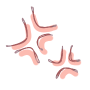 021