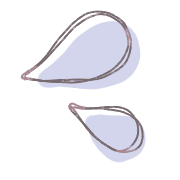 029