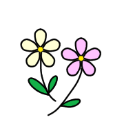 031