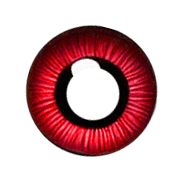 016