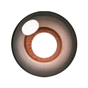 017