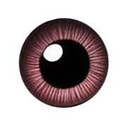 024