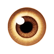 025