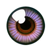 026