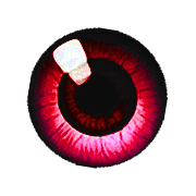 028
