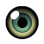031