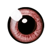 038