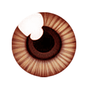 040
