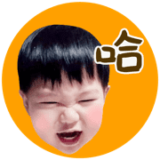003