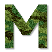013