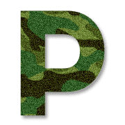 016