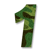 031