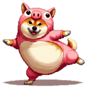 003