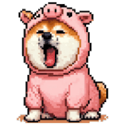 019