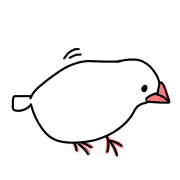 010