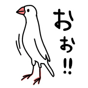 029