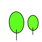 019