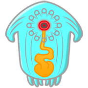 018