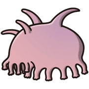 019