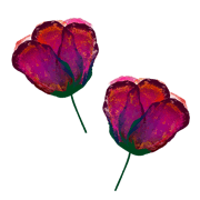 016